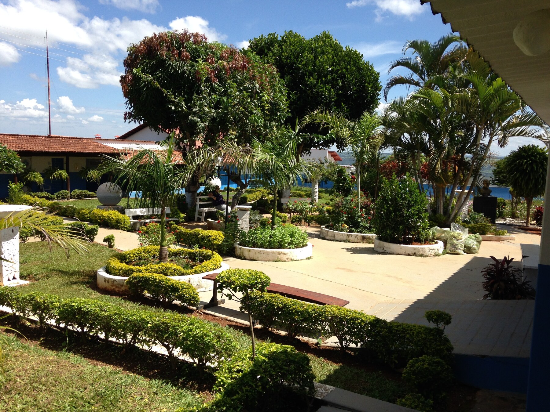 Landscaped courtyard garden
