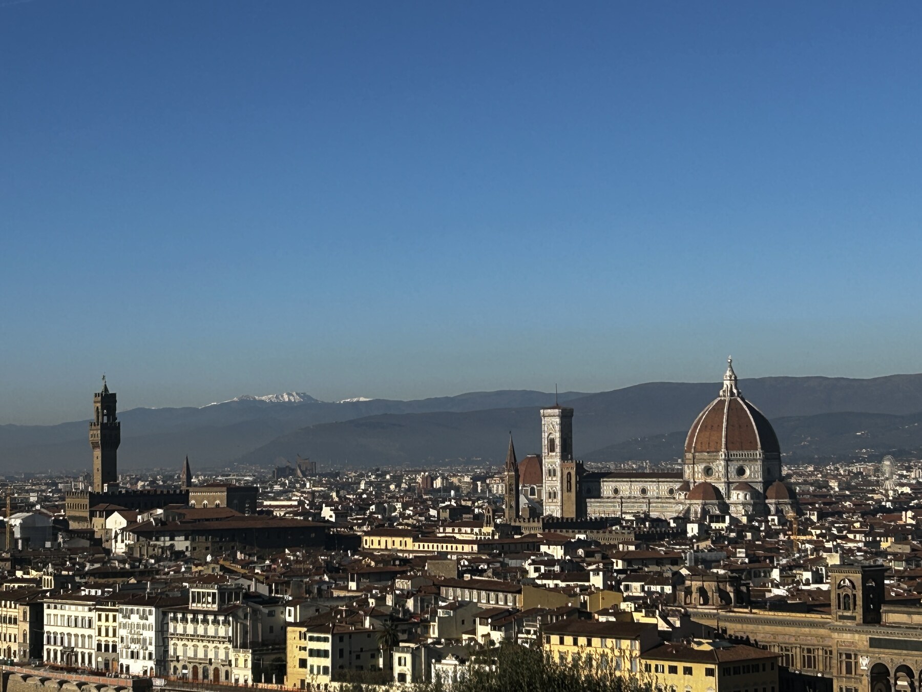 Florence, Capture date unknown