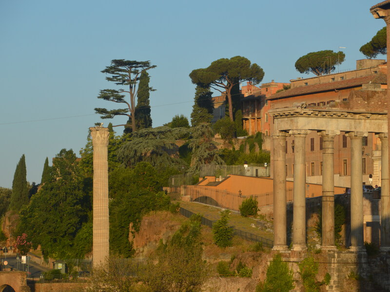 Temple of Saturn