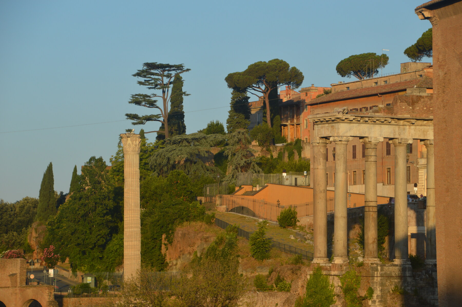 Temple of Saturn