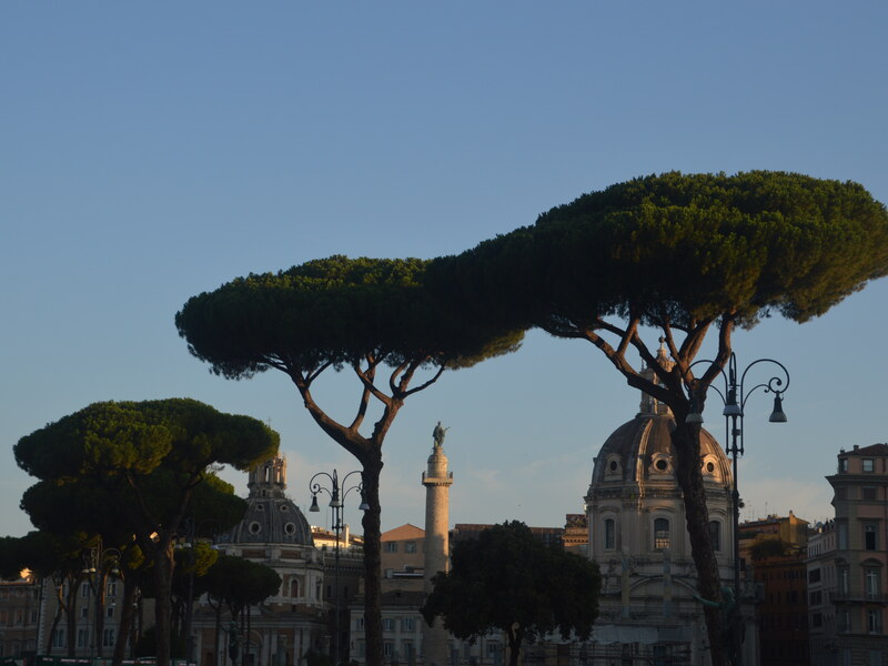 Trajan’s Column and surrounding church domes
