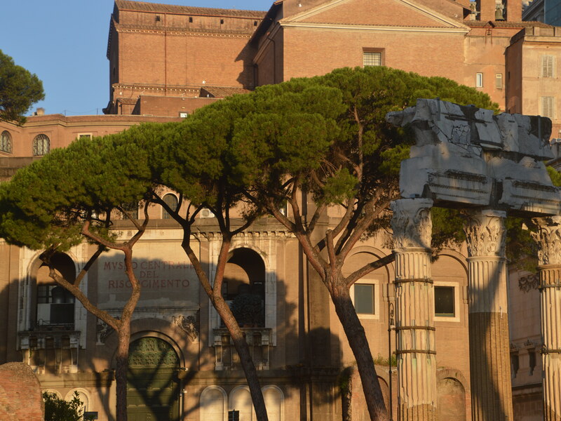 Temple of Venus Genetrix