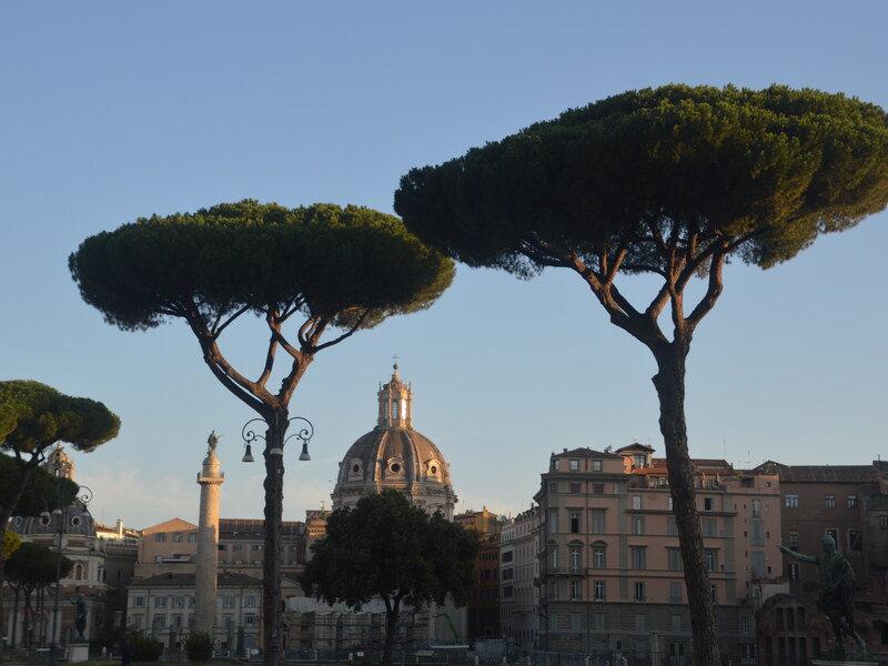 Trajan’s Column and umbrella pines