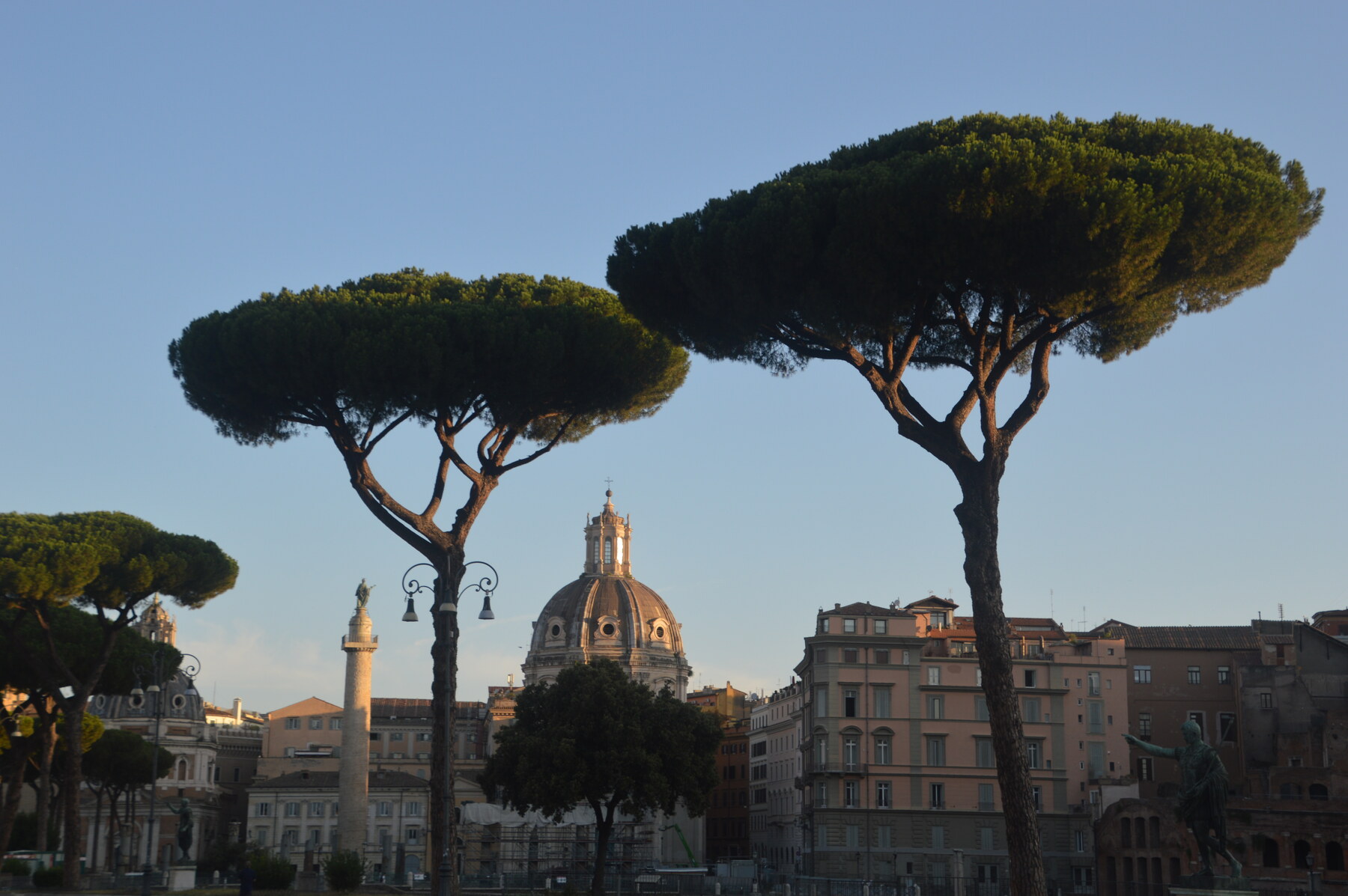 Trajan’s Column and umbrella pines