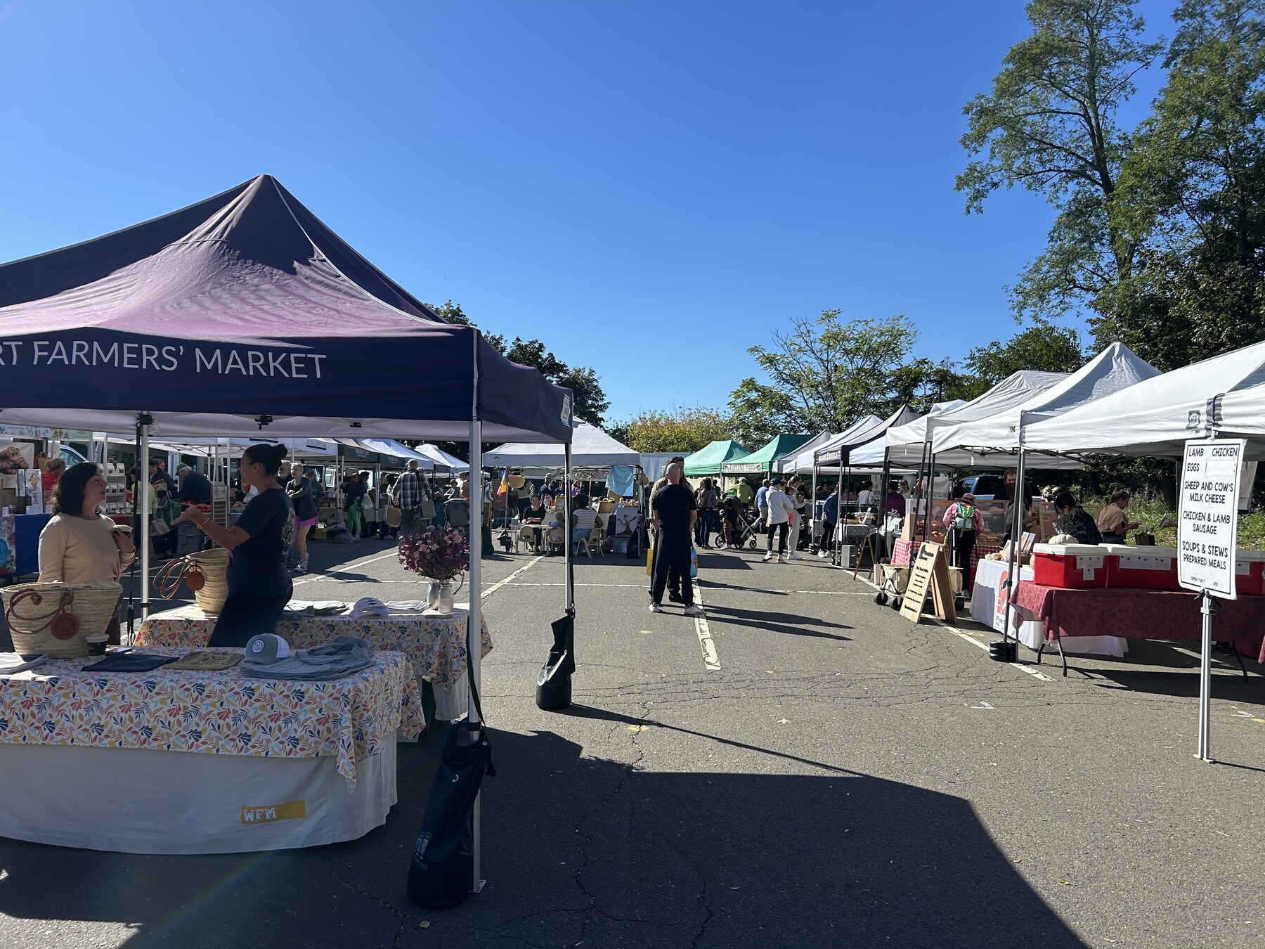 Westport farmers market
