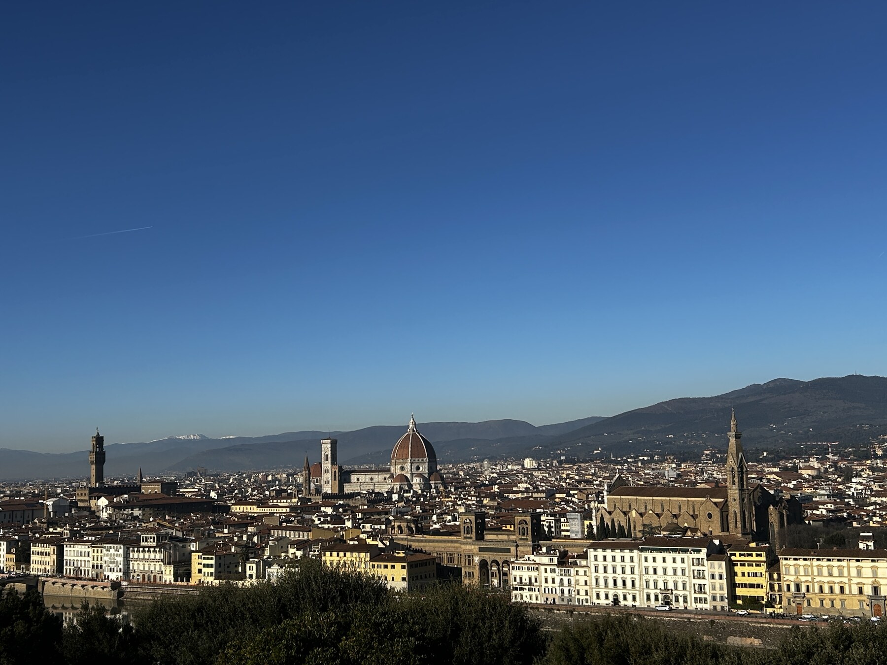 Florence skyline