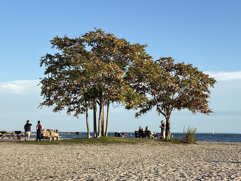 Compo Beach