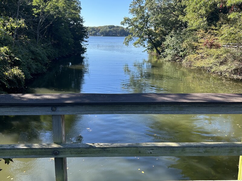 Wooded waterway and footbridge